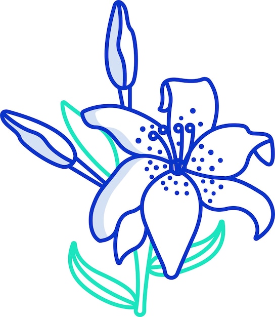 flores de lirio tigre contorno sólido ilustración vectorial de colores