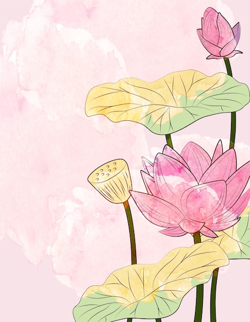 Flores de loto vectoriales y realistas
