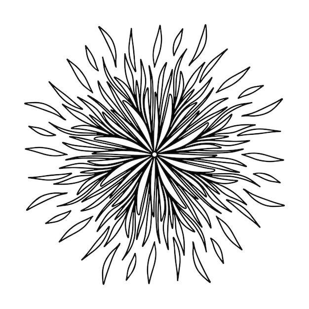 Flores de mandala de aster dibujadas a mano florales en estilo garabato aisladas sobre fondo blanco Coloración divertida y linda para el diseño de temporada decoración textil sala de juegos para niños o tarjeta de felicitación Crisantemo