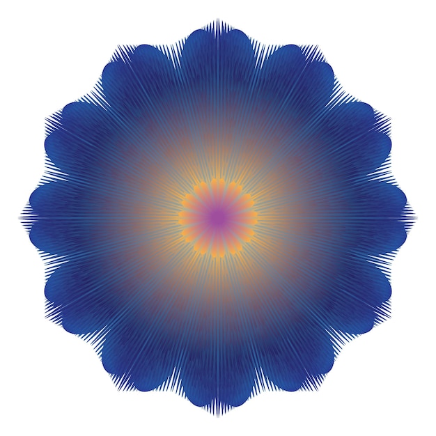 Flores de margarita de osteospermo azul con fondo blanco