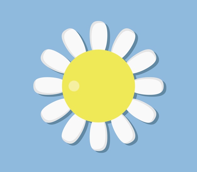 flores de margarita