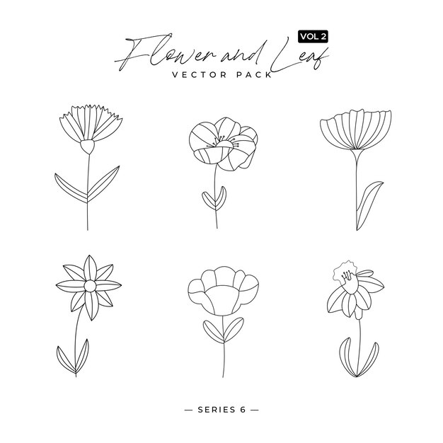 Flores minimalistas con hojas elegantes Ornamento floral y de hierbas diseños dibujados a mano