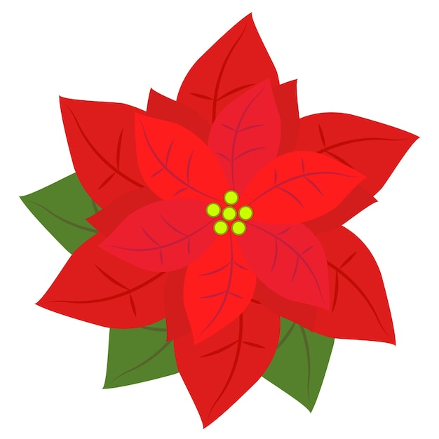 Vector flores de navidad, rojo, vector de adorno.