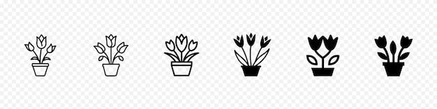 Flores negras de tulipán sobre un fondo blanco