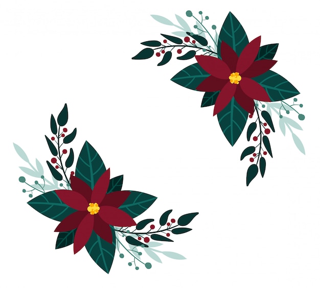 Flores de nochebuena rojas. Ramos de Navidad, vegetación de invierno. Diseño de tarjetas de felicitación de año nuevo.