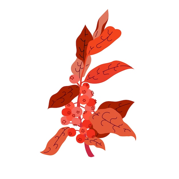 Flores ornamentales