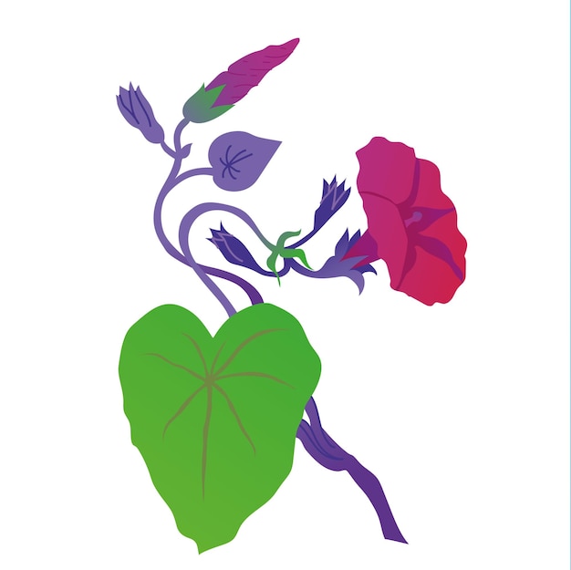 Flores ornamentales