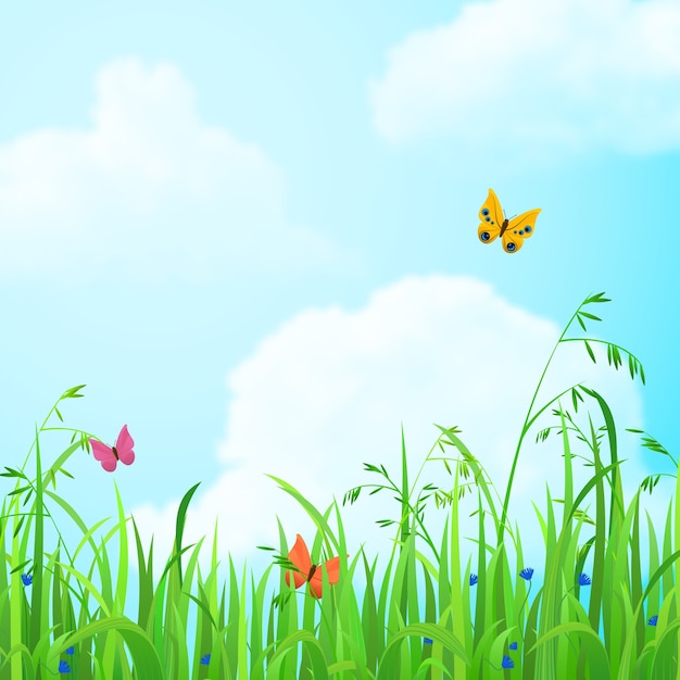 Flores y pasto en el campo Cielo con nubes