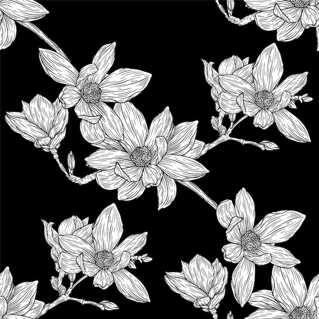 Flores Patrón sin costura en fondo blanco Línea Magnolia Ilustraciones vector floral lápiz dibujado