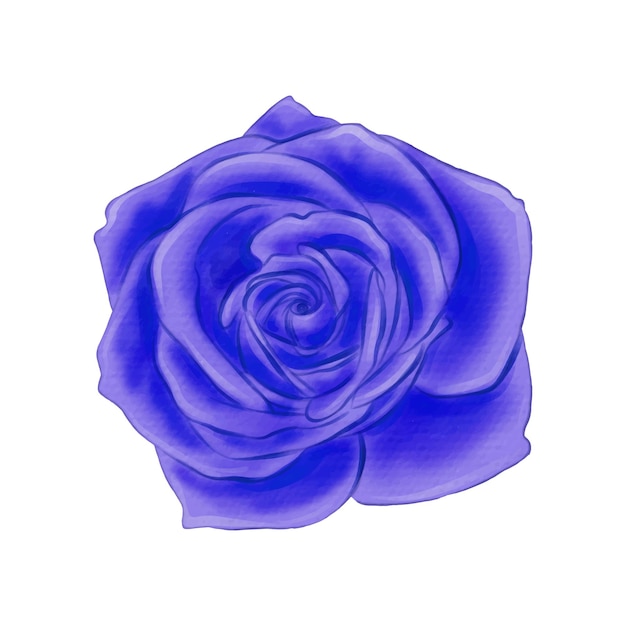 flores pintadas con acuarelas en blanco