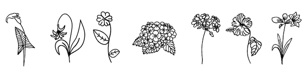 Flores plantas colección floral en estilo de esquema para colorear dibujado a mano simple vector illustrr