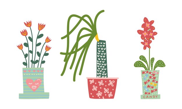 Flores y plantas decorativas que crecen en macetas de cerámica como conjunto vectorial de decoración para el hogar