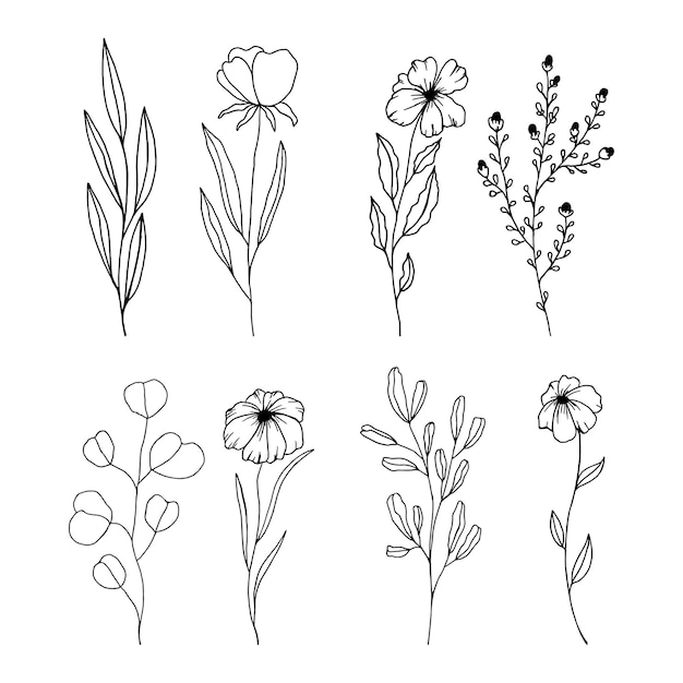 Flores de primavera dibujadas a mano en blanco y negro sobre un fondo blanco
