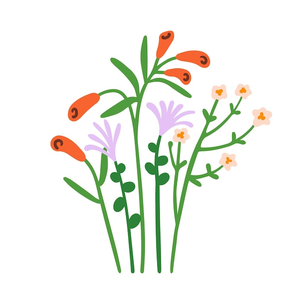 Flores de primavera Flores frágiles de campo Plantas florales mixtas de verano Composición de tallos Flores silvestres de flores suaves y simples Ilustración vectorial plana botánica abstracta aislada sobre fondo blanco