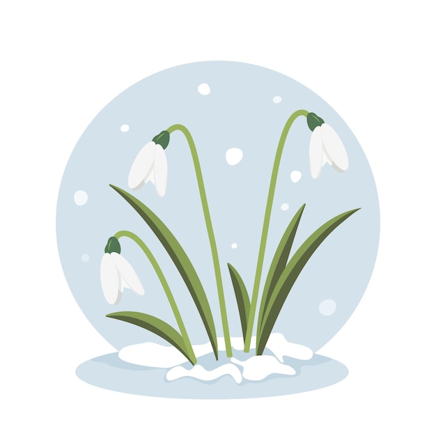 Flores de primavera Gotas de nieve Ilustración vectorial Gotas de Nieve que florecen a través de la nieve Ilustración plana vectorial simple