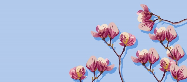 Vector flores de primavera magnolia