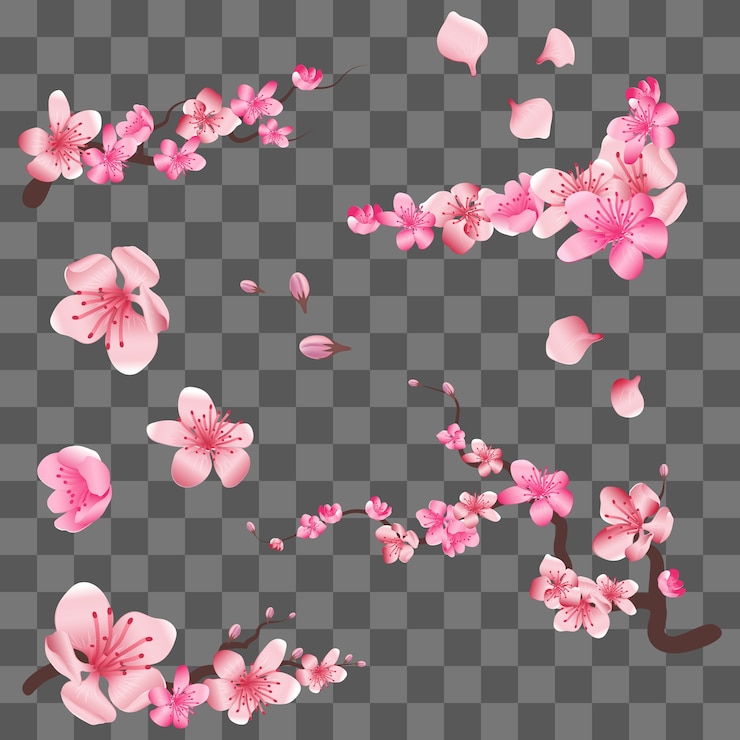 Vector flores de primavera sakura cereza floreciendo