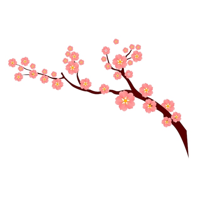 Flores y ramas de sakura vectorial