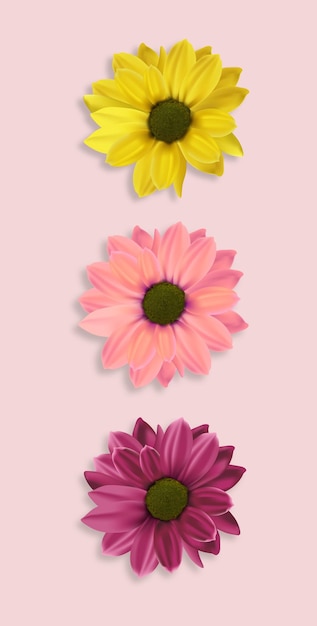 Flores realistas, hola primavera, conjunto de flores de colores, planta de primavera de decoración aislada, vector