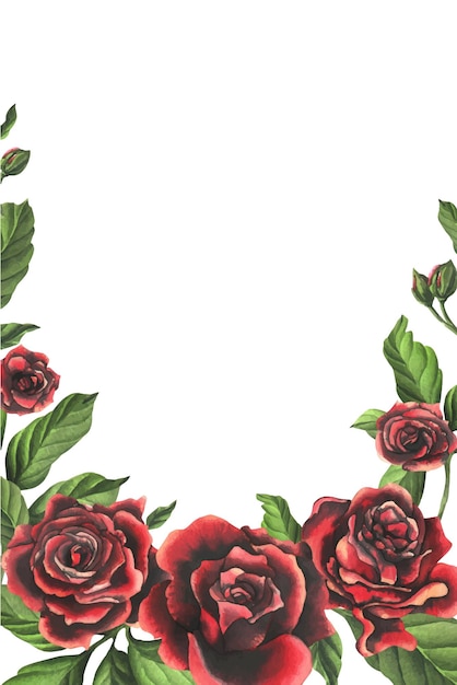 Flores de rosa rojo-negro con hojas y brotes verdes elegantes brillantes hermosas acuarelas dibujadas a mano