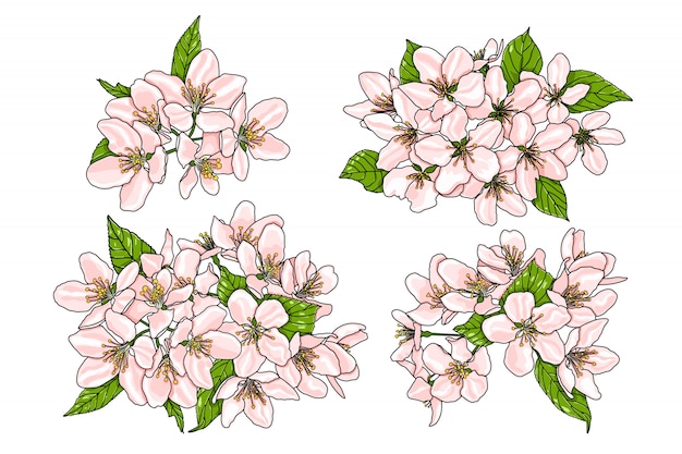 Flores rosadas del manzano con las hojas verdes.