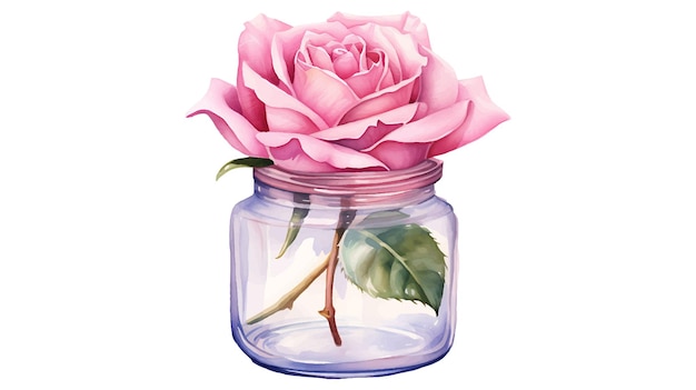 Flores rosas de acuarela en un frasco de vidrio Hermosa pintura flores de rosa en un frasco