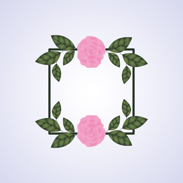 Flores rosas decoracion marco cuadrado