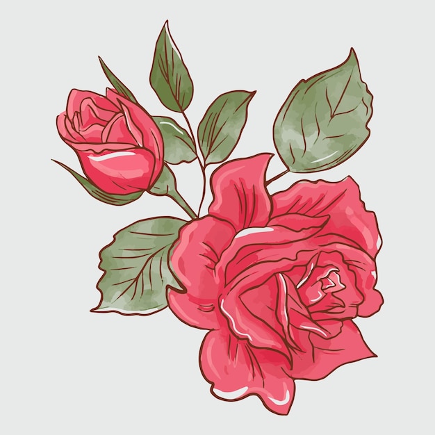 Vector flores rosas rojas aisladas sobre fondo gris