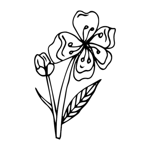 flores de sakura ilustración vectorial contorno negro