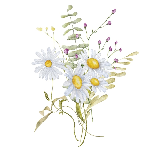 Flores silvestres acuarela ramo botánico dibujado a mano ilustración