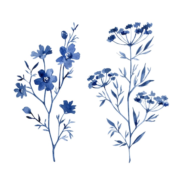 Vector flores silvestres azules. elementos florales de acuarela