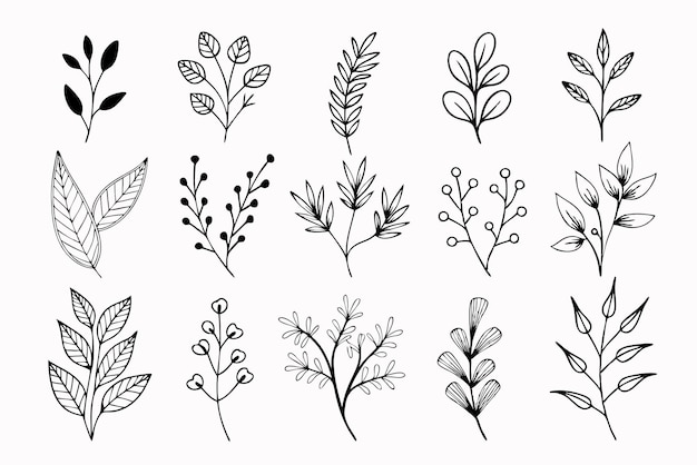 Flores silvestres dibujadas a mano Ramas florales y hojas minimalistas para logotipos o tatuajes Flores dibujados a mano