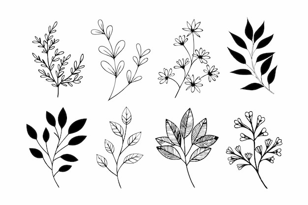 Flores silvestres dibujadas a mano Ramas florales y hojas minimalistas para logotipos o tatuajes Flores dibujados a mano