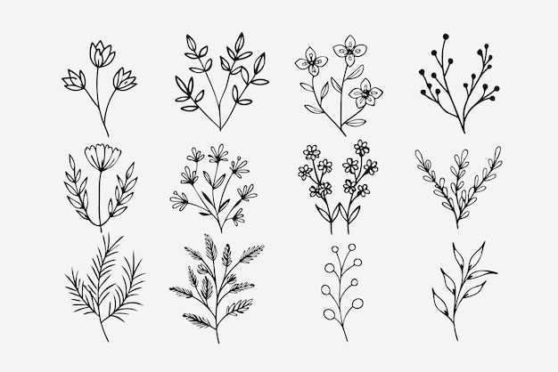 Flores silvestres dibujadas a mano Ramas florales y hojas minimalistas para logotipos o tatuajes Flores dibujados a mano