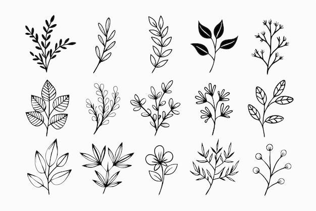 Flores silvestres dibujadas a mano Ramas florales y hojas minimalistas para logotipos o tatuajes Flores dibujados a mano