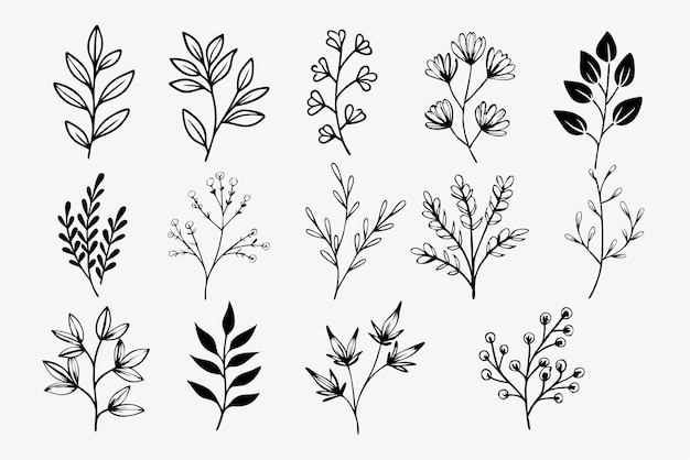 Flores silvestres dibujadas a mano Ramas florales y hojas minimalistas para logotipos o tatuajes Flores dibujados a mano