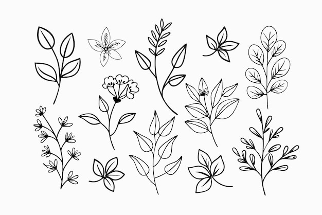 Flores silvestres dibujadas a mano Ramas florales y hojas minimalistas para logotipos o tatuajes Flores dibujados a mano