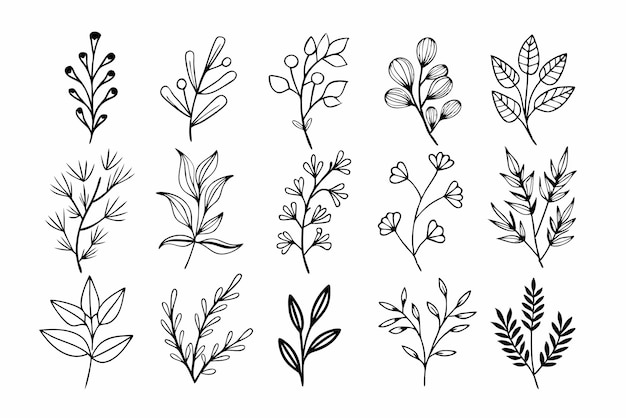 Flores silvestres dibujadas a mano Ramas florales y hojas minimalistas para logotipos o tatuajes Flores dibujados a mano