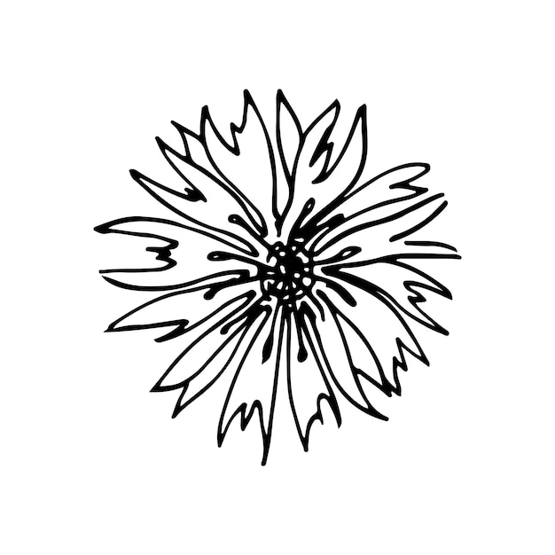 Flores silvestres doodle lineart vector ilustración dibujo a mano
