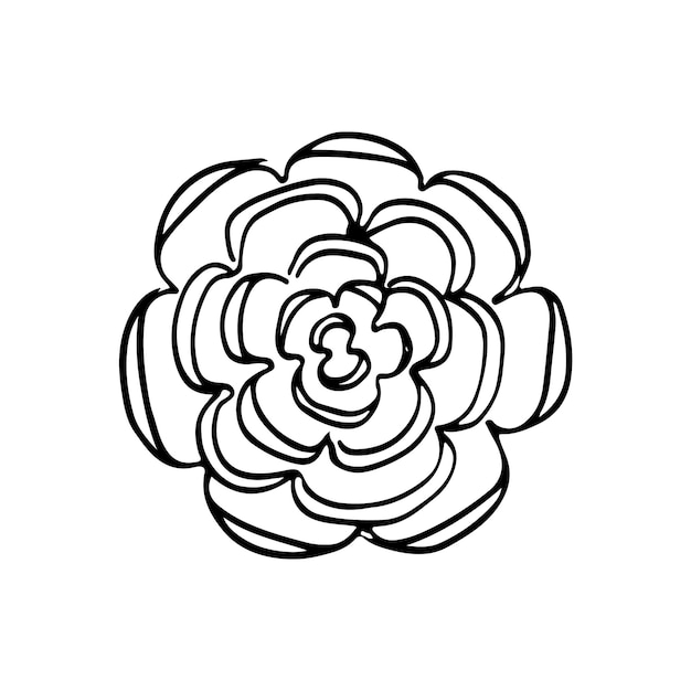 Flores silvestres doodle lineart vector ilustración dibujo a mano