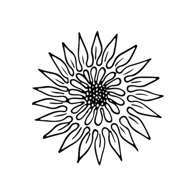 Flores silvestres doodle lineart vector ilustración dibujo a mano