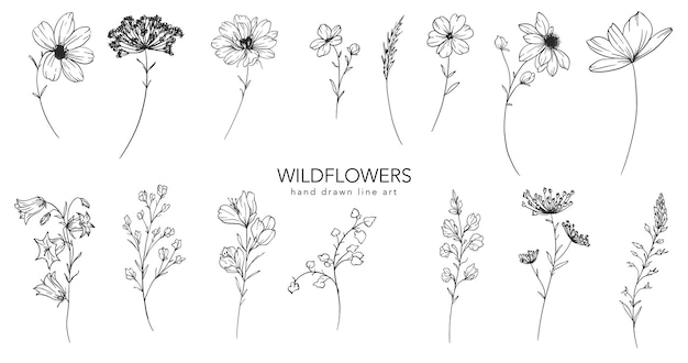 Flores silvestres florales de moda y hojas Ilustración de arte de línea Botánica Arte de línea Colección de flores silvestres Arte de línea dibujado a mano Gráficos de lujo Arte floral de línea fina Perfecto para invitaciones de boda elegantes