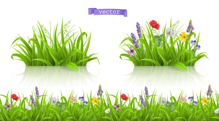 Vector flores silvestres, pastos alpinos forb 3d set