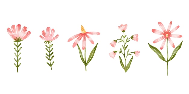 Flores silvestres rojas dibujadas a mano Flores de primavera de campo en isol