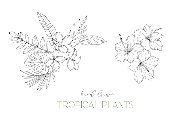 Flores tropicales Arte de contorno de líneas Plantas tropicales Arte floral de líneas Flores para colorear Página de línea fina