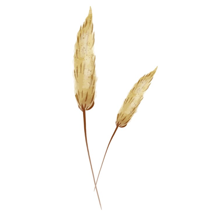Vector flores tropicales en una ilustración al estilo de acuarela aisladas sobre el fondo blanco