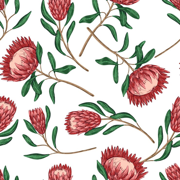 Vector flores tropicales de protea. adorno con plantas exóticas. patrón transparente de vector dibujado a mano. diseño botánico vintage para papel pintado, estampado, decoración, fondo, textil.