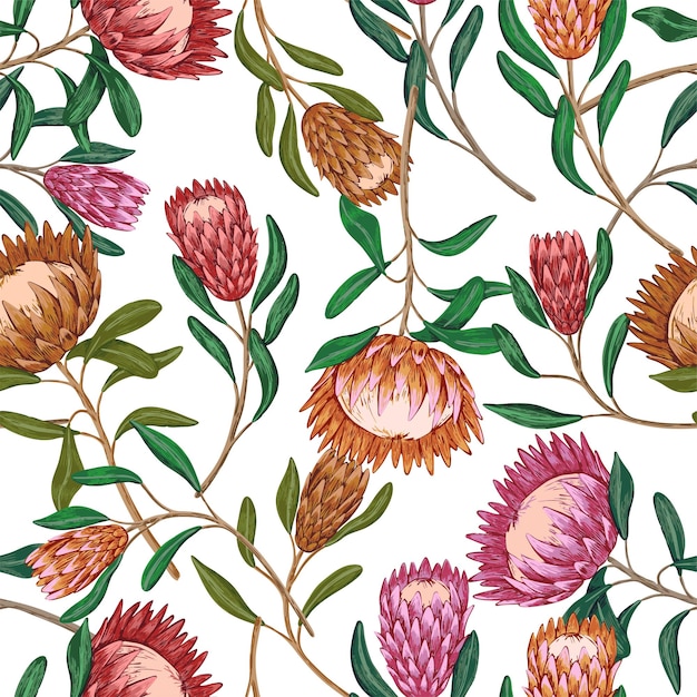 Flores tropicales de protea. adorno con plantas exóticas. patrón transparente de vector dibujado a mano. diseño botánico vintage para papel pintado, estampado, decoración, fondo, textil.