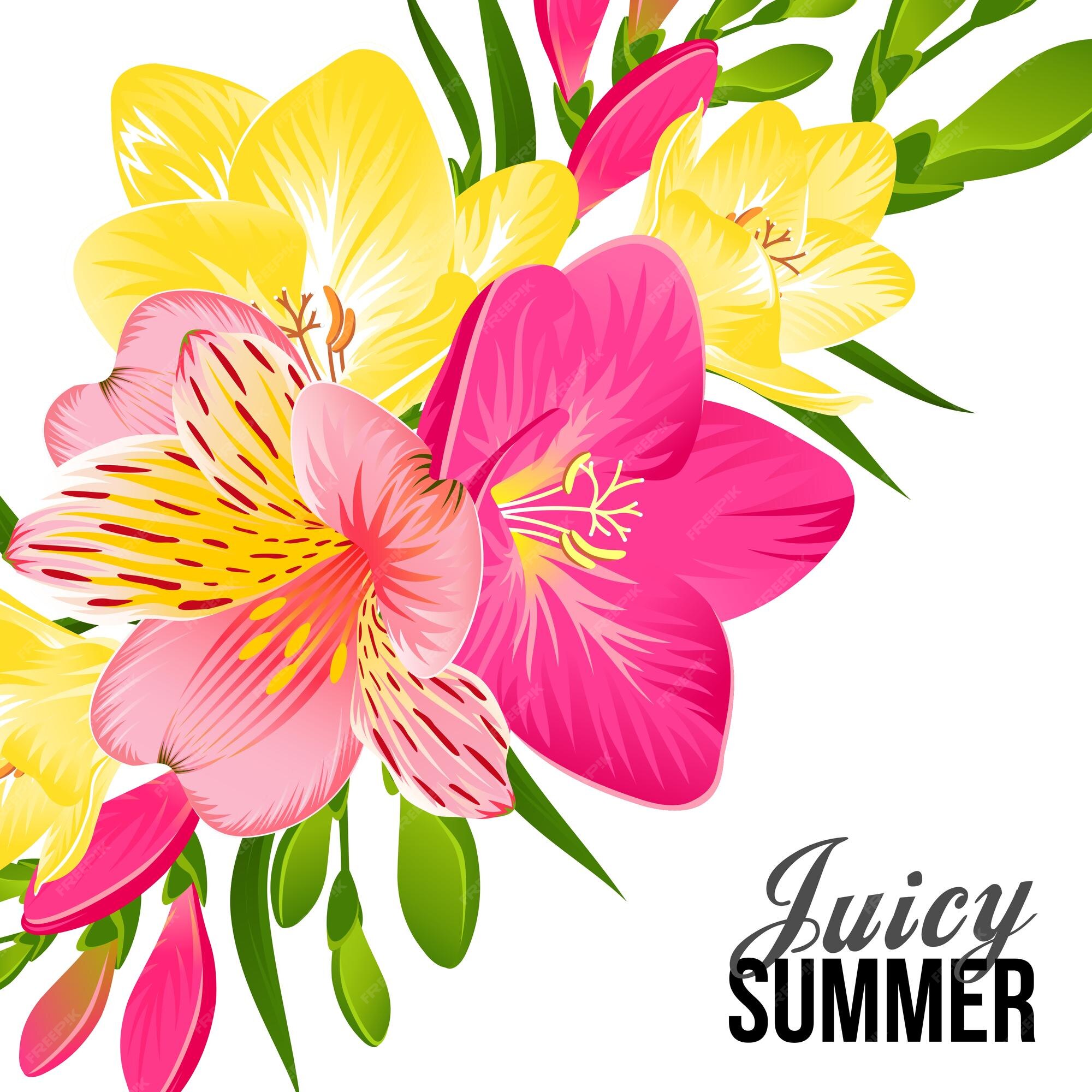 Flores tropicales de verano sobre un fondo blanco en vector | Vector Premium