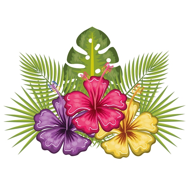 Vector flores tropicales